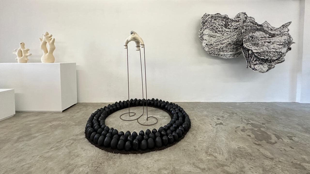 WhatsApp-Image-2024-11-21-at-20.06.01